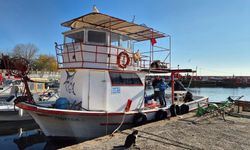 Marmara Denizi'nden zengin balık çeşitleri