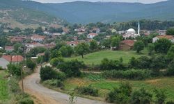 Çevre dostu yaşamı ile Tekirdağ’ın şirin köyü! Keşfeden yaşamak istiyor