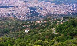 Zeytin ağaçlarının süslediği Tire’nin en güzel köyü! Antik çağlara uzanan tarihi cezbediyor