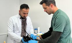 Tüfekle yaralanan kedi, cerrahi operasyonla kurtarıldı