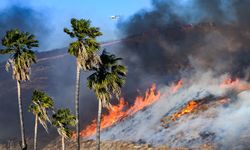 California’da yeni yangın kontrol altına alındı, 1 kişi gözaltında