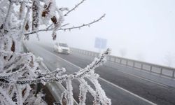 Bitlis'te sis ve kırağı etkisiyle zorlu hava koşulları