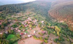 Bolu’nun zirvelerinde, çam ağaçlarının süslediği eşsiz bir köy! Doğa fotoğrafçıları buraya bayılıyor