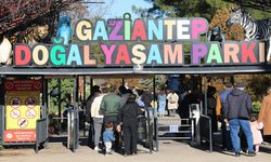 Gaziantep Hayvanat Bahçesi yılın ilk günü ziyaretçilerini ağırladı