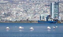 İzmir Körfezi'nde temizlik çalışmaları sonuç verdi, deniz maviye döndü