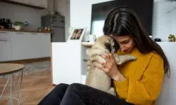 Bilim insanları açıkladı: Köpekler, sahiplerinin stresini koklayıp depresyona girebiliyor!