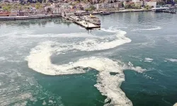 Marmara Denizi'nde müsilaj tehlikesi yeniden gündemde!