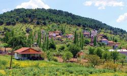İzmir’in doğal kliması! Şehirden uzaklaşmadan nefes almak mümkün: Sıcaktan bunalanlar soluğu bu yemyeşil köyde alıyor