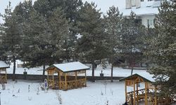 Sibirya soğukları bu ilçede etkili oldu: Termometreler sıfırın altında 30,6 gösterdi!