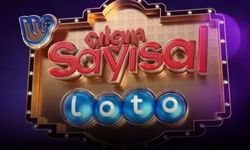 9 Temmuz Çılgın Sayısal Loto sonuçları açıklandı: 431 milyon TL devretti