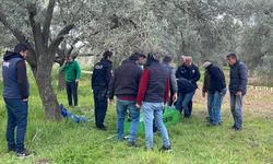 Haber alınamayan adamın cansız bedeni zeytin bahçesinde bulundu