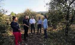 Muğla çiftçilerine zirai don desteği!