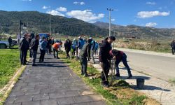 Alaşehir'de 400 fidan toprakla buluştu