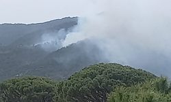 Aydın’da orman yangını paniği! Bozdoğan’da yangına müdahale sürüyor
