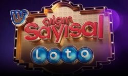 Çılgın Sayısal Loto'da şanslı rakamlar belli oldu! 13 Ağustos 2025 Çılgın Sayısal Loto çekilişi sonuçları açıklandı