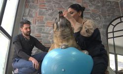 55 kiloluk Duman kilo vermek için pilates yapıyor