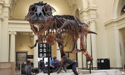 Yıllar sonra Gobi Çölü'nde keşfedilen "Duonychus" Dinozoru, bilim dünyasında büyük yankı uyandırdı!