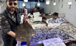 Sinop'ta kalkan balığı fiyatları 600 liraya düştü! Vatandaş kıyma yerine balık alıyor