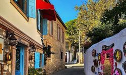 Taş evleri ve rengarenk sokaklarıyla Foça'yı solluyor! Ege'nin en tatlı Boşnak köyü