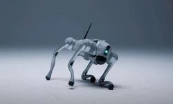Dünyada bir ilk: Eğitilebilen robot köpek! İşte yapabildikleri