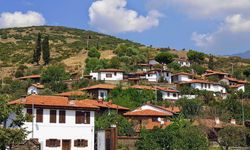 Asırlık geçmişiyle Bozdağ'ın en gözde köyü! İzmir'de nefes almak isteyenler buraya koşuyor
