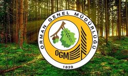 OGM 105 personel alımı başvuru tarihleri ve şartları 2025: İşte detaylar!
