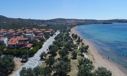 Yemyeşil doğasıyla Edremit Körfezi'ne uzanan şirin bir köy: Turistler en çok zeytinyağlı pilavını seviyor