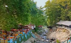 Yemyeşil doğası ve vadiye süzülen şelalesiyle Ege'nin köylerini gölgede bırakıyor! Izgara alabalığına bayılacaksınız