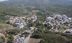 İzmir'de mandalina reçeliyle ün saldı! Yemyeşil çam ormanları ve zengin su kaynaklarıyla cezbediyor