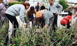 Sancaklı’nın yarası sarılıyor: Karşıyaka Belediyesi'nden 375 zeytin fidanı