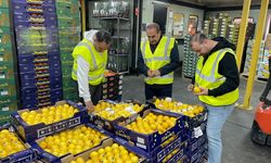 Türk meyve-sebzesi İngiltere yolcusu: 248 milyon dolarlık dev ihracat!
