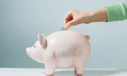 Kumbaralar neden domuz şeklinde? İşte ilginç sebep!