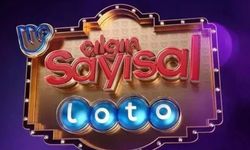 6 bilen yok! O dev ikramiye yine devretti Çılgın Sayısal Loto’da rekor büyüklükte devir