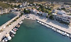 Zeytin ağaçlarının süslediği, deniz kokan sokaklarıyla İzmir’in en huzurlu köyü! Manzarasına hayran kalacaksınız