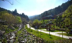 Ressam Bob’un tablosundan fırlamış gibi: Çınar ağaçlarının altında, yaban hayatının kalbinde bir kaçamak!
