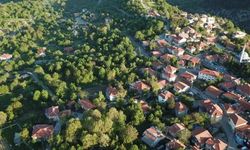 Şirince’yi solladı, Dünyanın en iyisi seçildi: Antalya’nın üzümüyle meşhur şirin köyü!