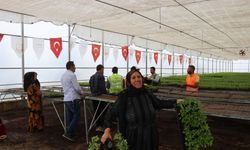 Şanlıurfa, yerli üretimi destekleyerek 'acının' yeni sezonuna hazırlanıyor