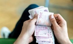 Destek kampanyası başladı: Zirai don mağdurlarına özel kredi imkanı