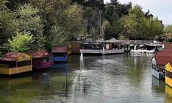 İzmir’e yalnızca 40 dakika mesafede, doğanın kalbinde gizli bir cennet… Masal gibi bir piknik alanı, nasıl gilidir?