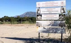 İztuzu, Patara ve Çıralı kumsallarına gece girişi yasaklandı!