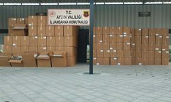 Aydın’da dev kaçakçılık operasyonu: 4,5 milyon liralık boş makaron ele geçirildi