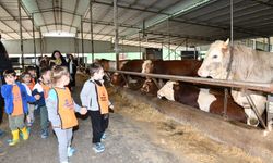 Çiğlili minikler çiftlik hayatını yakından keşfetti!
