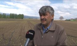 Kuraklık gıdaya darbe vurdu: Tarlada mahsul, pazarda etiket yandı