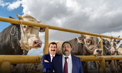 Dini vecibe değil, ticari operasyon!