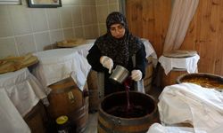 Doğal yöntemlerle sirke üretimi: 50 farklı çeşit ve şifa arayışı