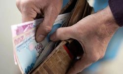 TÜİK verileri açıklandı! En çok zamlanan ve ucuzlayan ürünler belli oldu: Domates, biber ve kabak fiyatları yüzde 22 düş