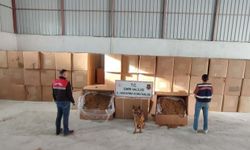 Menderes'te kaçak tütün operasyonu: Tonlarca tütün ele geçirildi