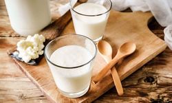 Sadece kefir ve meyveyle hazırlanıyor! Yazın en hafif tatlısı olarak gösteriliyor