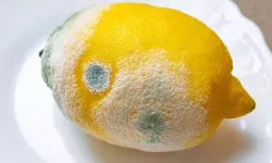 Aldığınız limonlar hemen küfleniyor mu? Bu yöntemle taptaze kalacak!