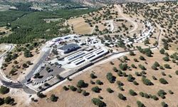 Manisa’da sokak hayvanlarına nefes aldıracak proje: Hayvan Yaşam Merkezi açıldı